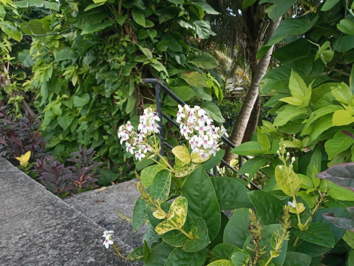 Tharul Home 本托塔 外观 照片