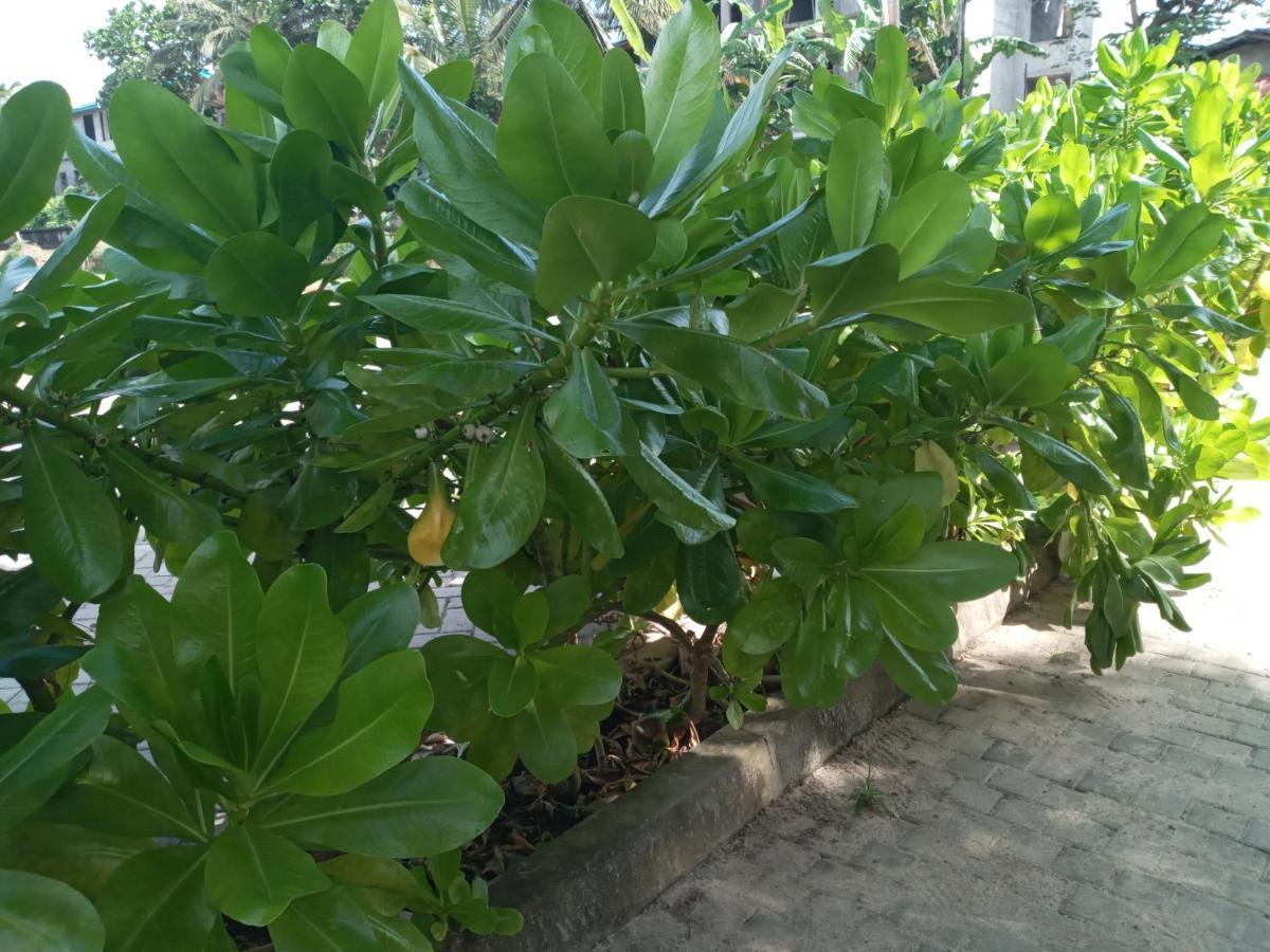 Tharul Home 本托塔 外观 照片
